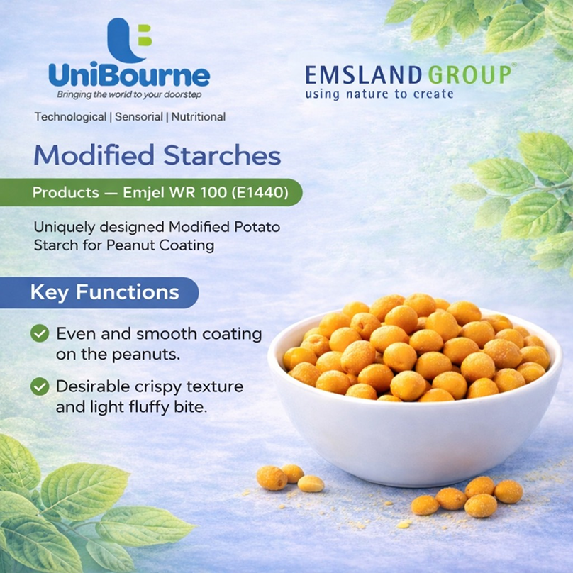 WhatsApp Image 2026-02-13 at 5.14.27 PM 1